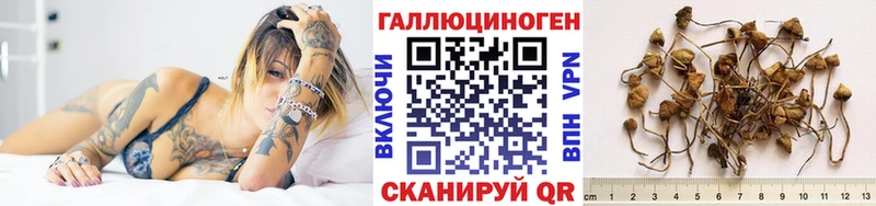 Галлюциногенные грибы Cubensis  Купить где  Сасово 